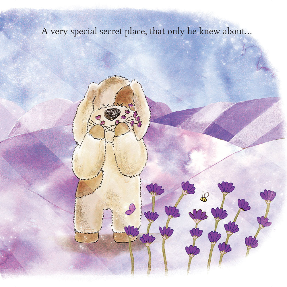 A Special Secret Place Board Book - Simple Edit