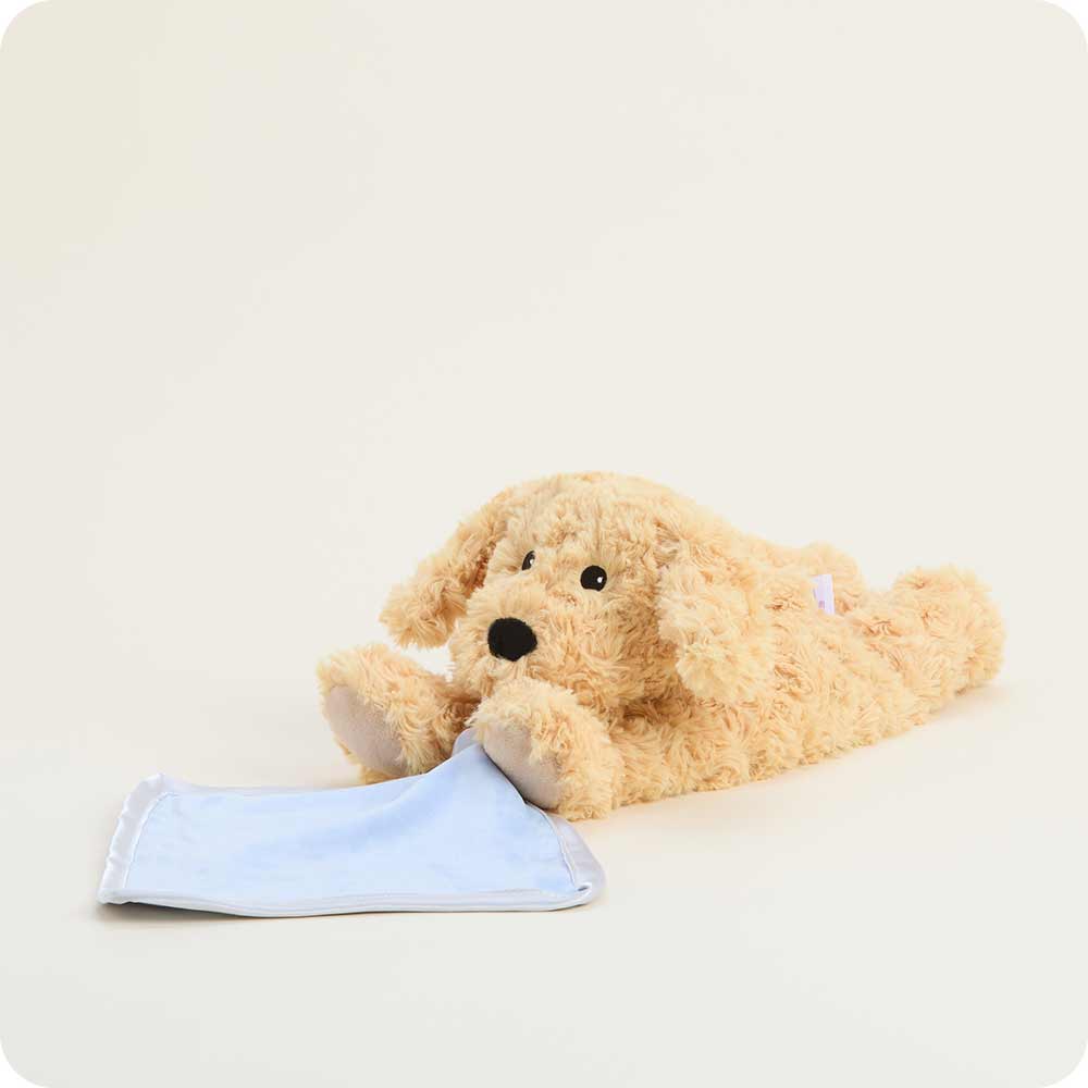 Golden Dog Blankie Warmies - Warm Blend