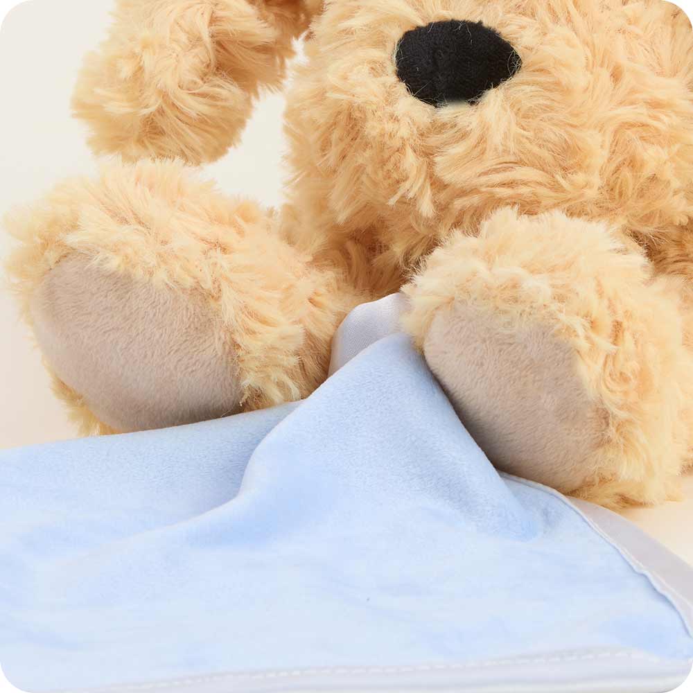 Golden Dog Blankie Warmies - Warm Blend