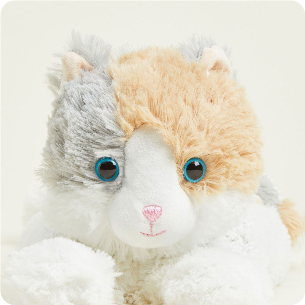 Calico Cat Warmies - Classic Notes