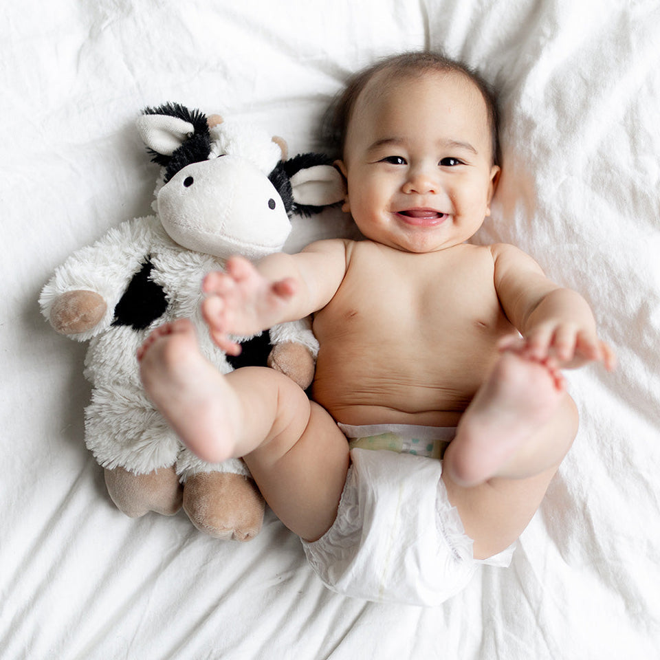 Black and White Cow Warmies - Clean Bundle