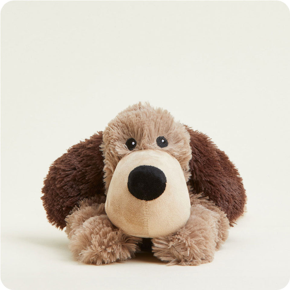 Brown Dog Warmies - Daily Scent