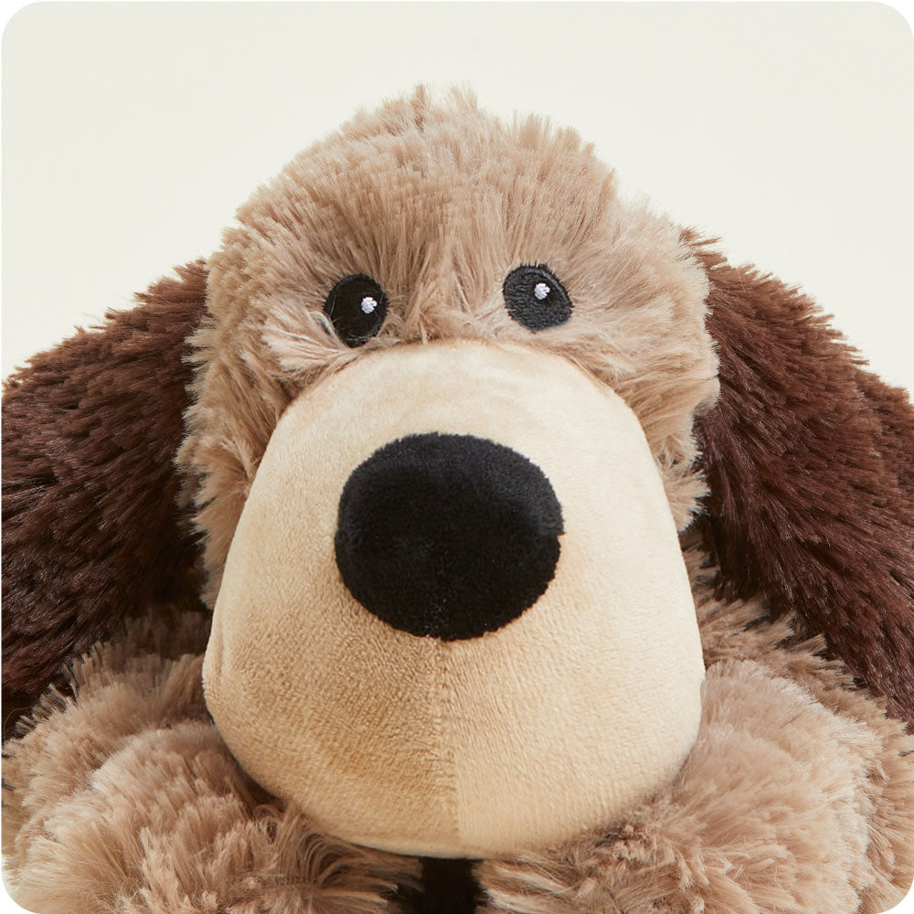 Brown Dog Warmies - Daily Scent