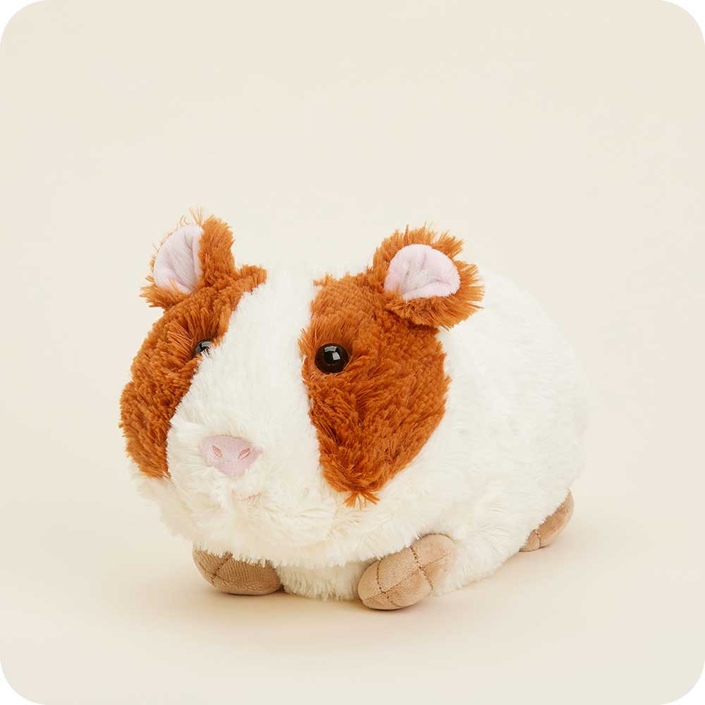 Guinea Pig Warmies - Modern Blend