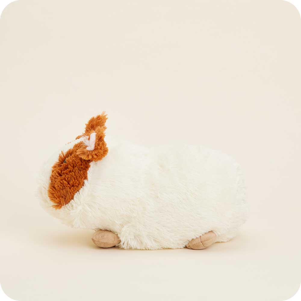 Guinea Pig Warmies - Modern Blend