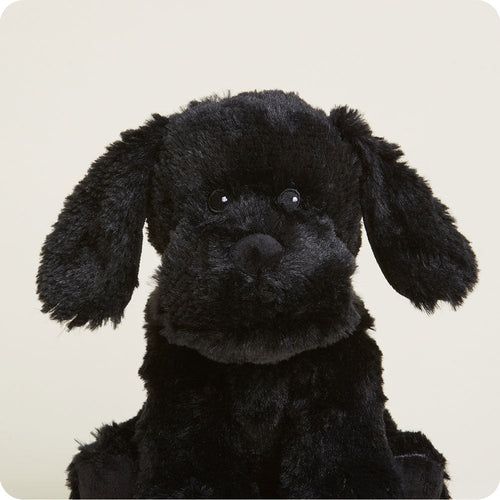 Black Labrador Warmies - Fresh Notes