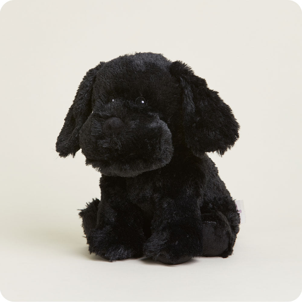 Black Labrador Warmies - Fresh Notes