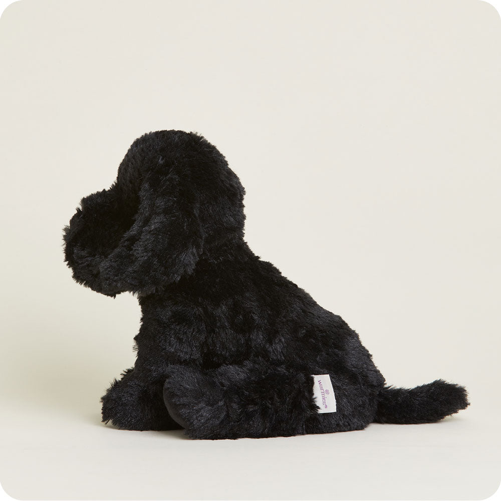 Black Labrador Warmies - Fresh Notes