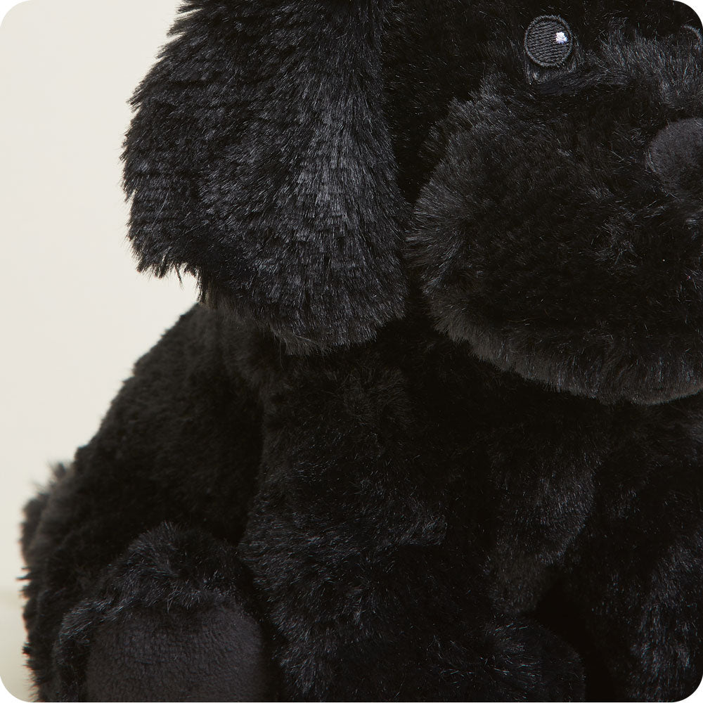 Black Labrador Warmies - Fresh Notes