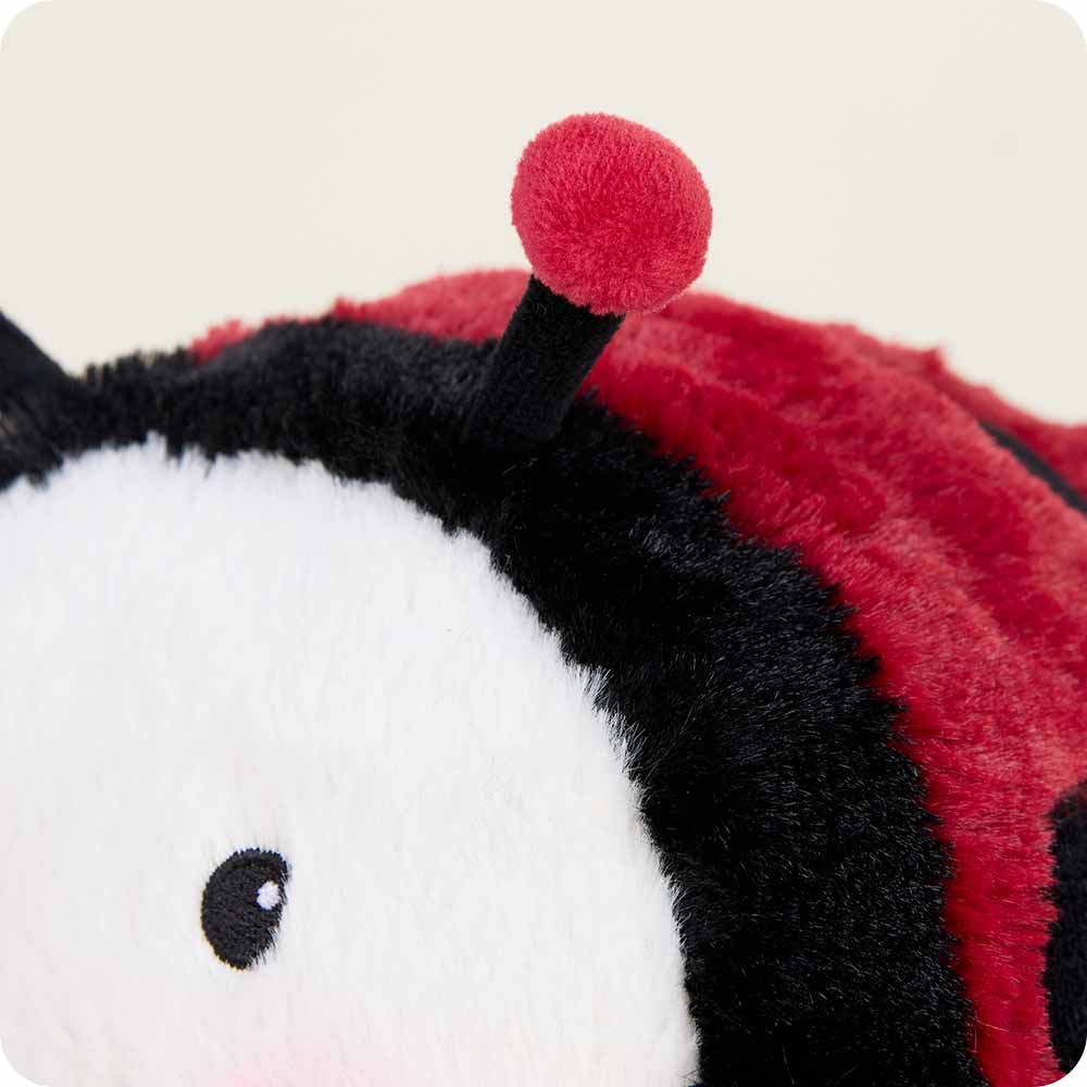 Ladybug Warmies - Home Glow