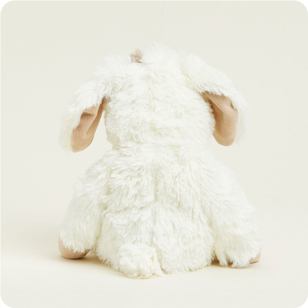 Puppy Warmies - Warm Blend