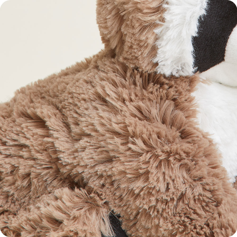 Raccoon Warmies - Cozy Glow