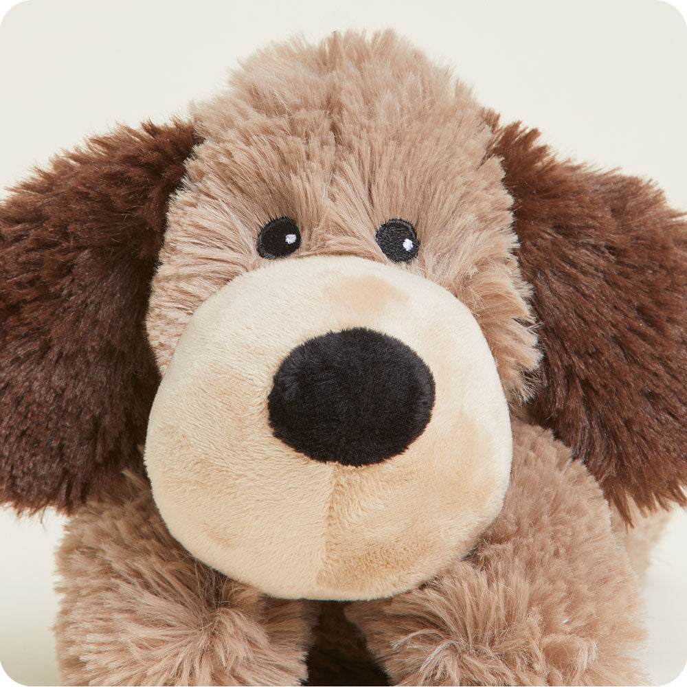 Brown Dog Warmies Junior - Classic Notes