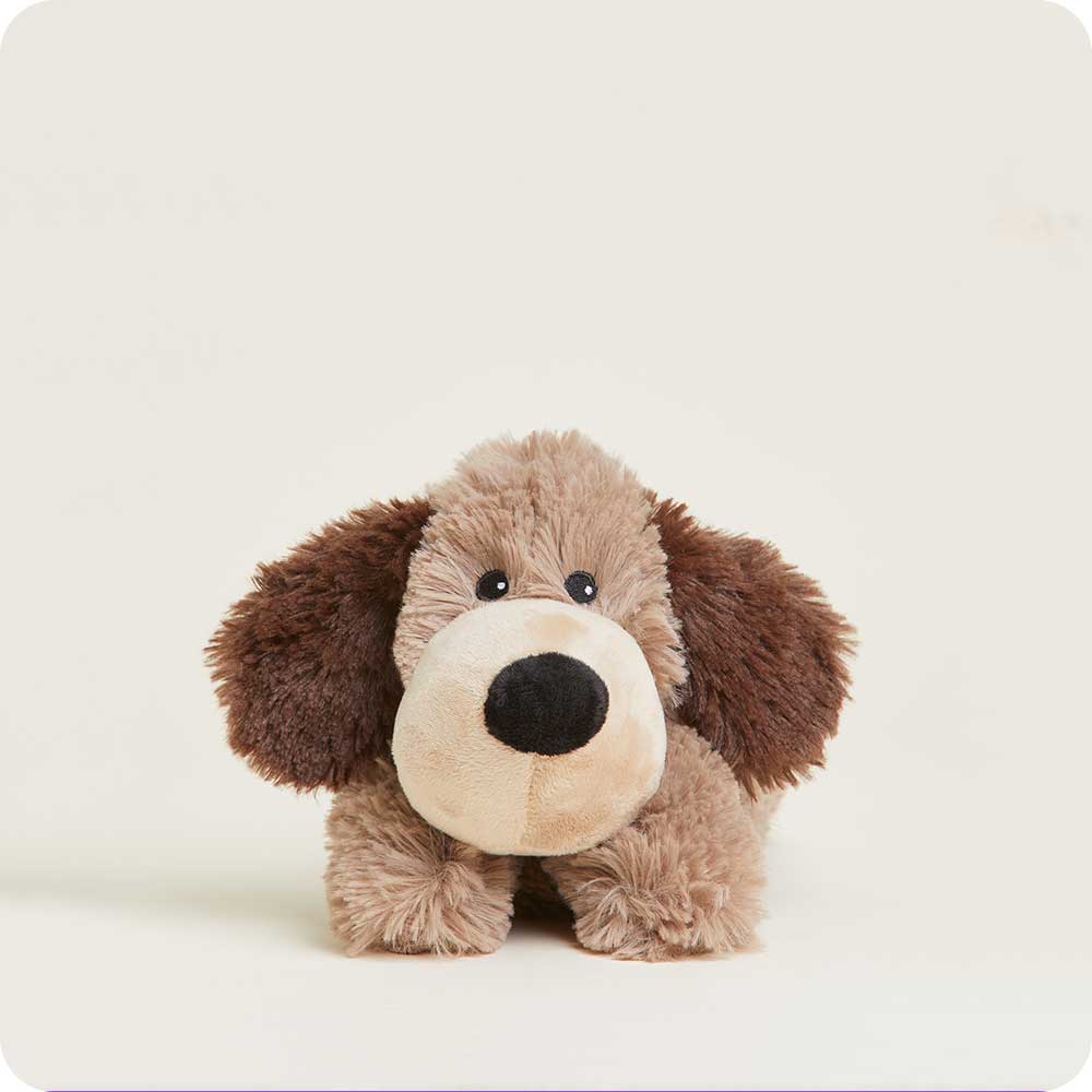 Brown Dog Warmies Junior - Classic Notes