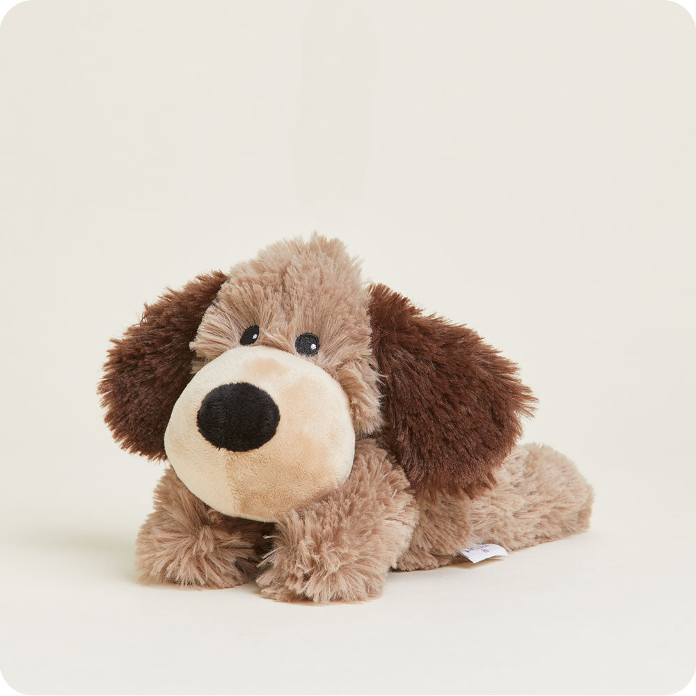 Brown Dog Warmies Junior - Classic Notes