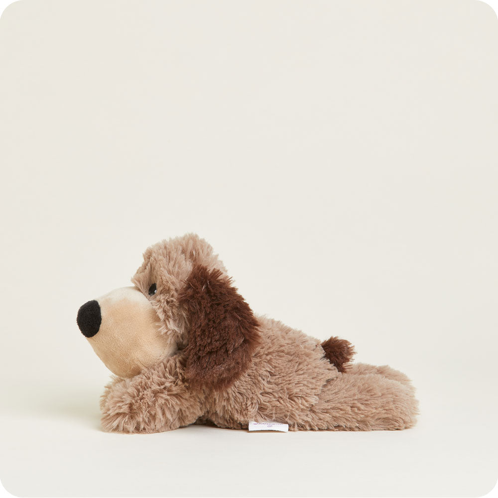 Brown Dog Warmies Junior - Classic Notes