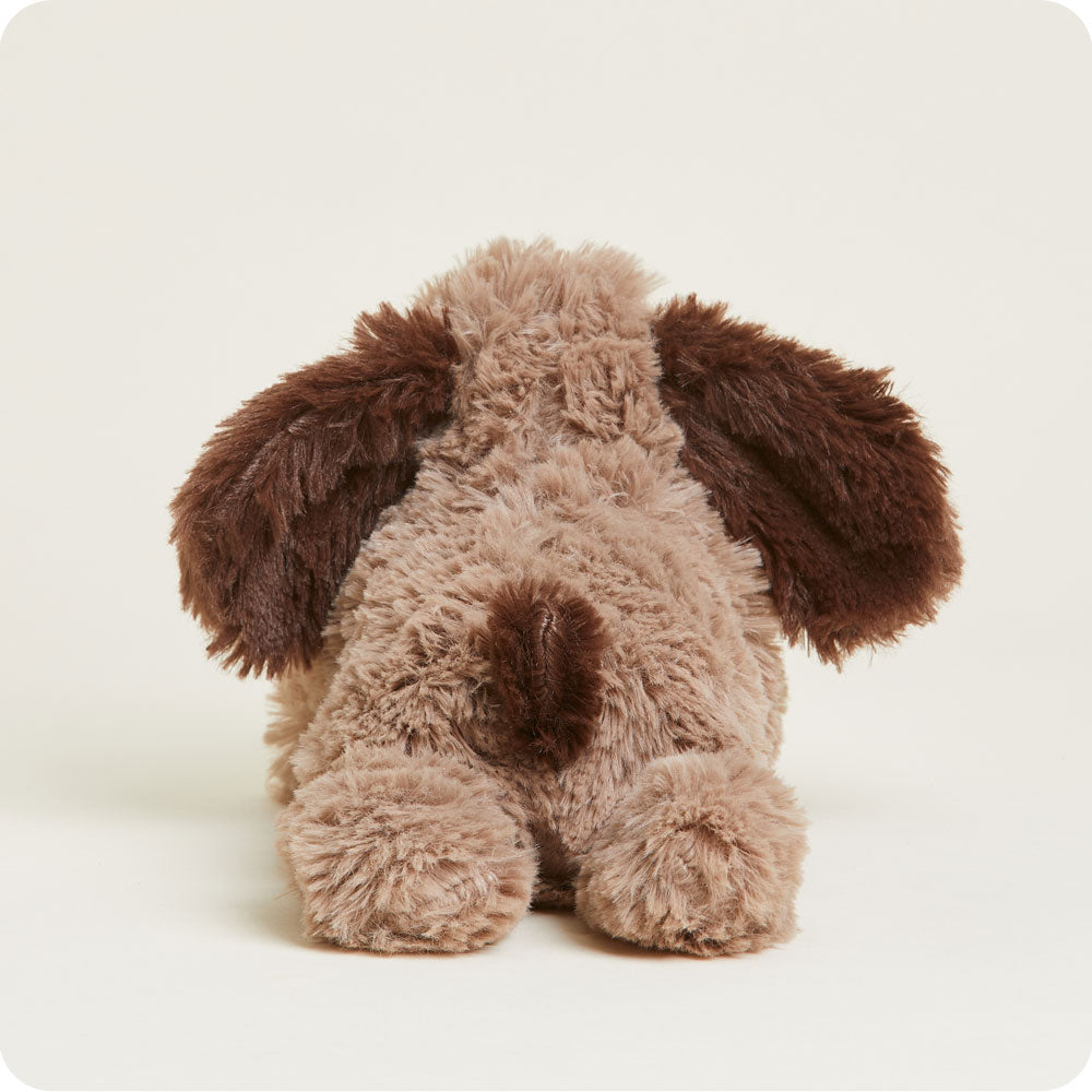 Brown Dog Warmies Junior - Classic Notes