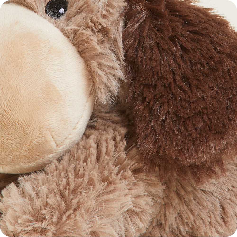 Brown Dog Warmies Junior - Classic Notes