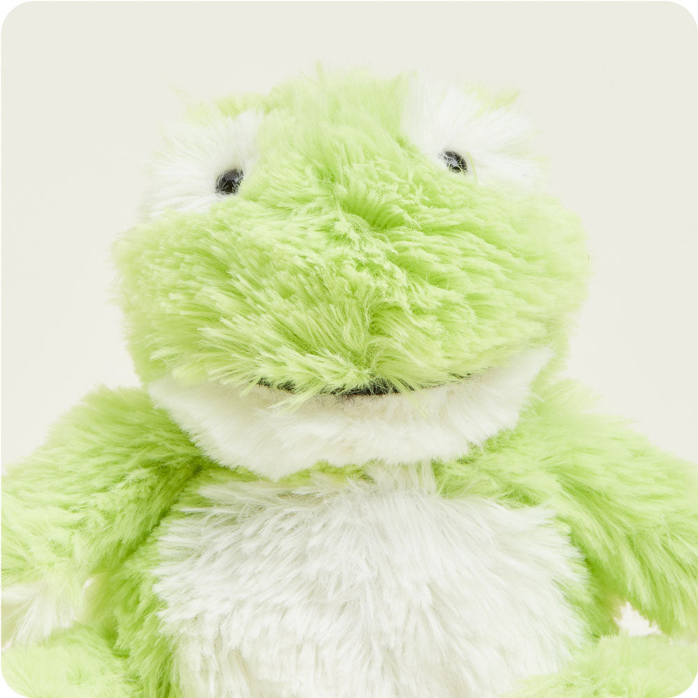 Frog Warmies Junior - Fresh Notes