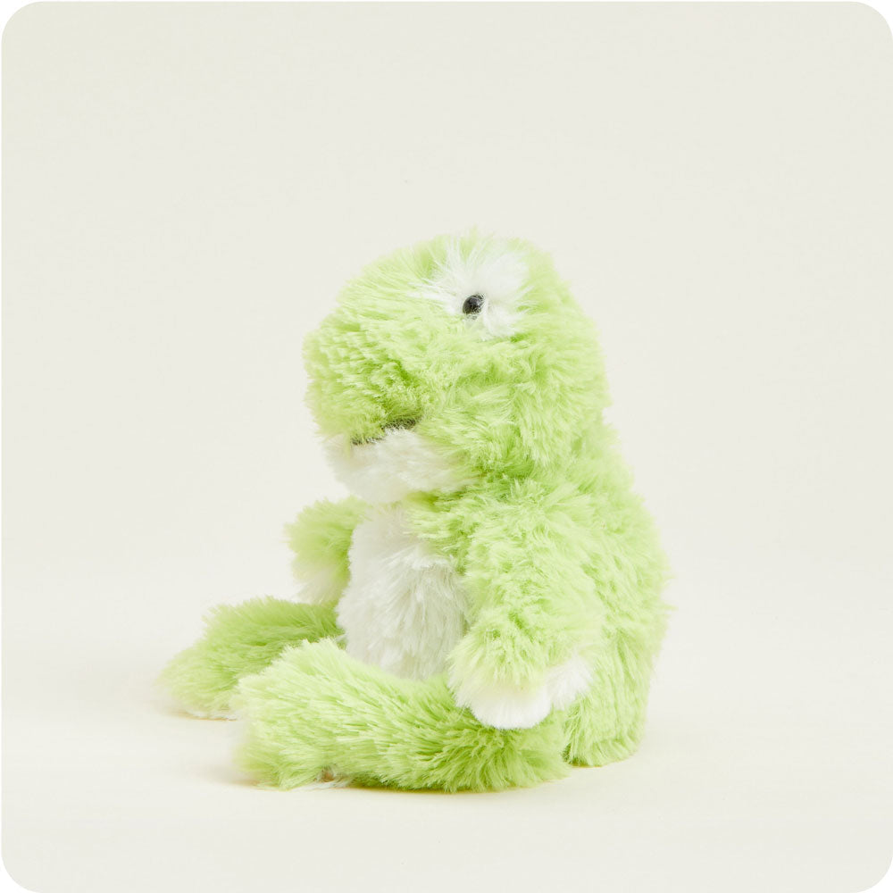 Frog Warmies Junior - Fresh Notes