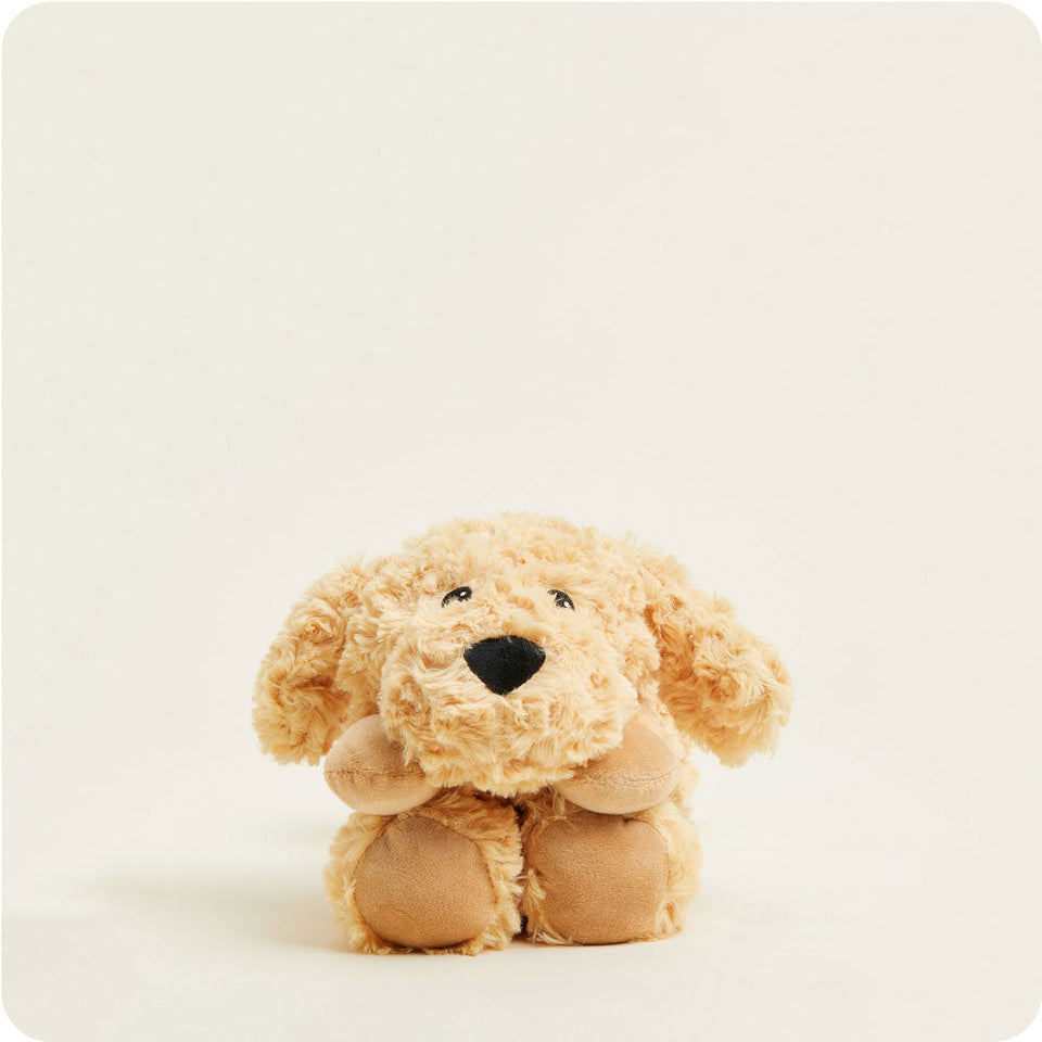 Golden Dog Warmies Wrap - Gift Ready