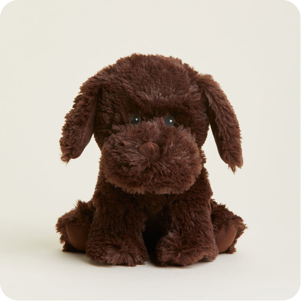 Chocolate Labrador Warmies - Modern Blend