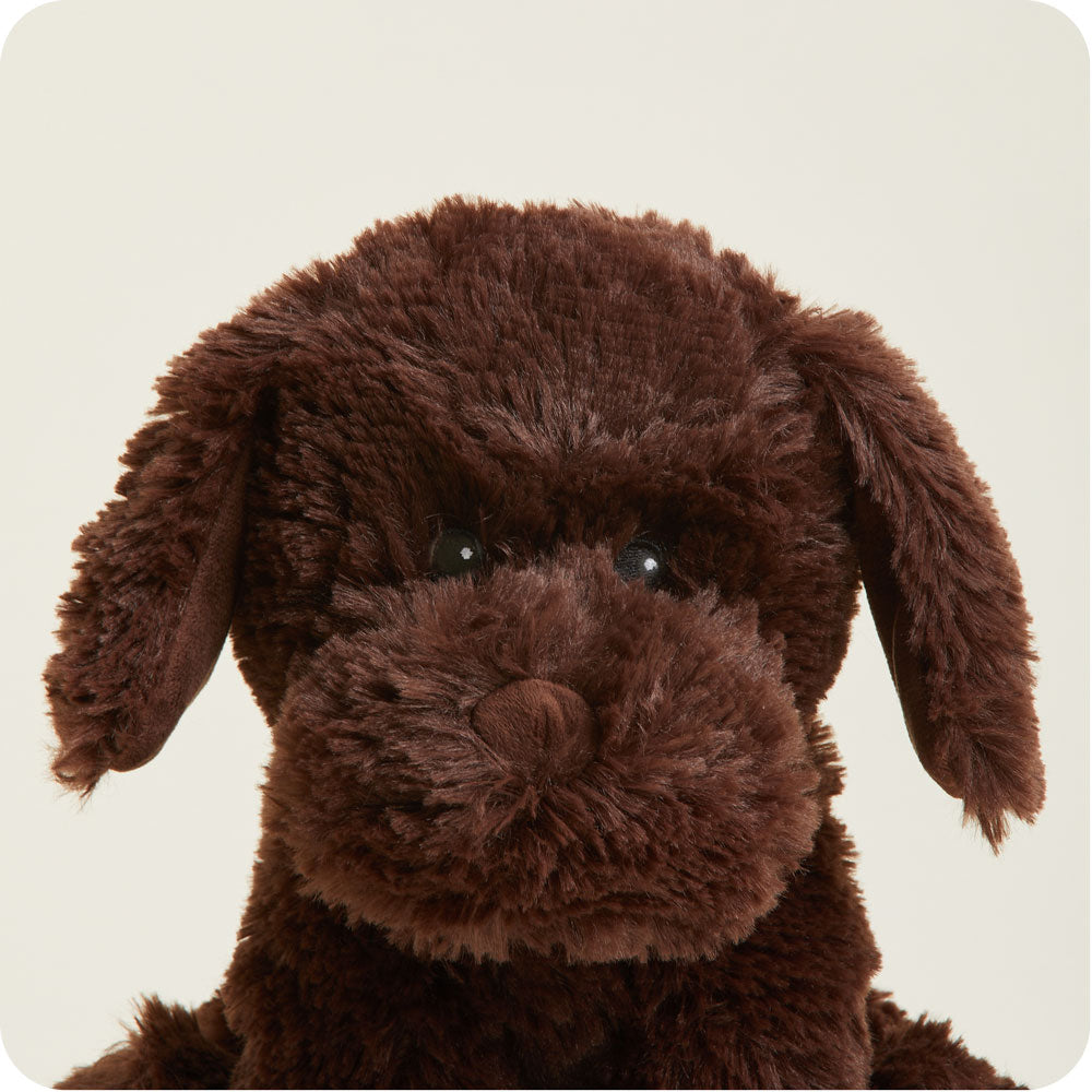 Chocolate Labrador Warmies - Modern Blend