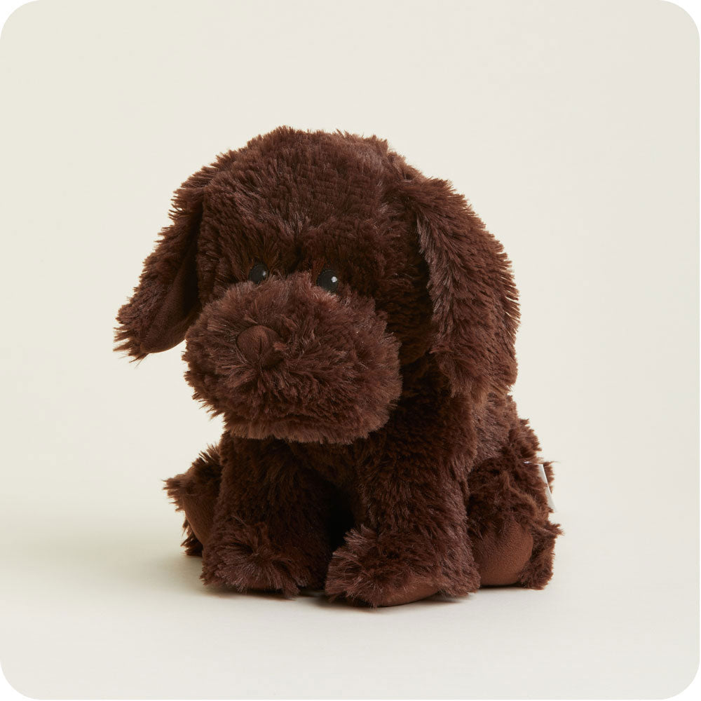 Chocolate Labrador Warmies - Modern Blend