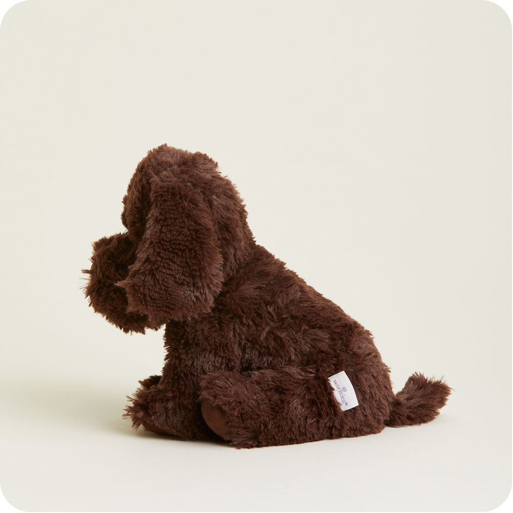 Chocolate Labrador Warmies - Modern Blend