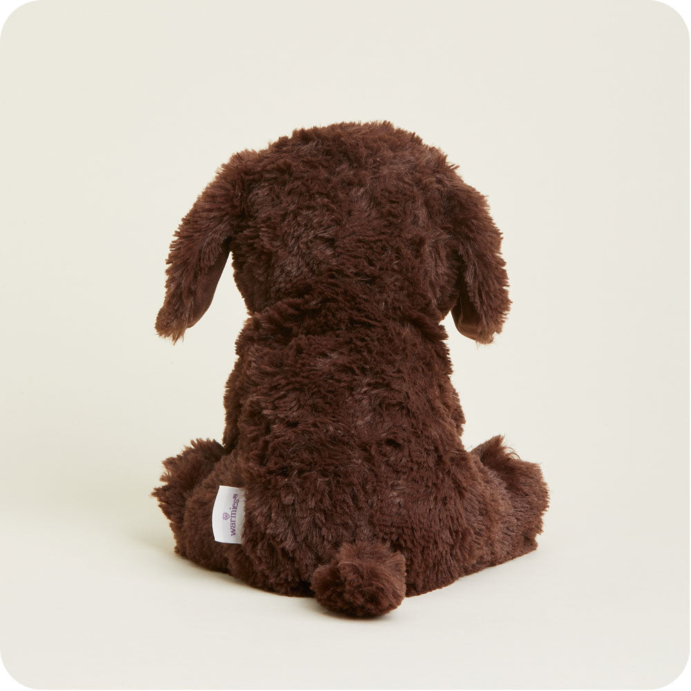 Chocolate Labrador Warmies - Modern Blend