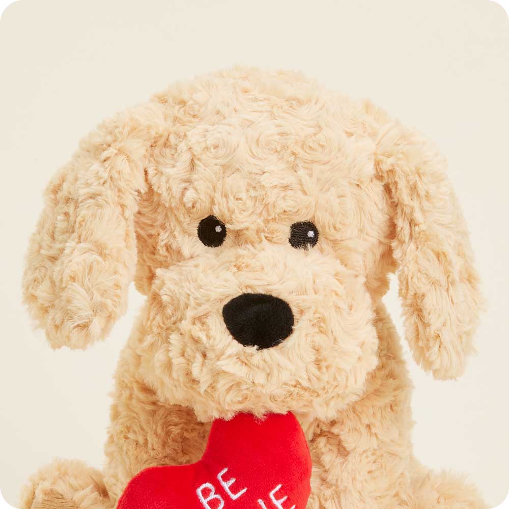 Be Mine Golden Dog Warmies - Warm Blend