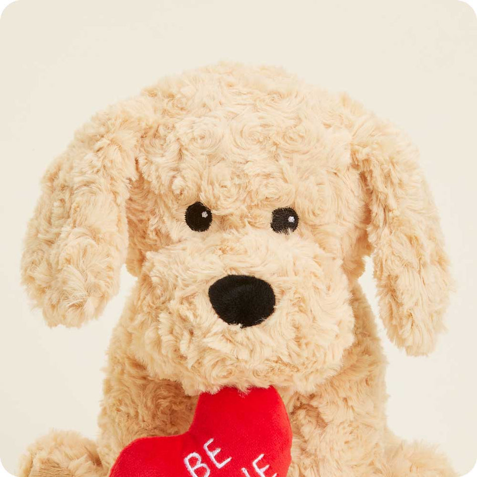 Be Mine Golden Dog Warmies - Warm Blend