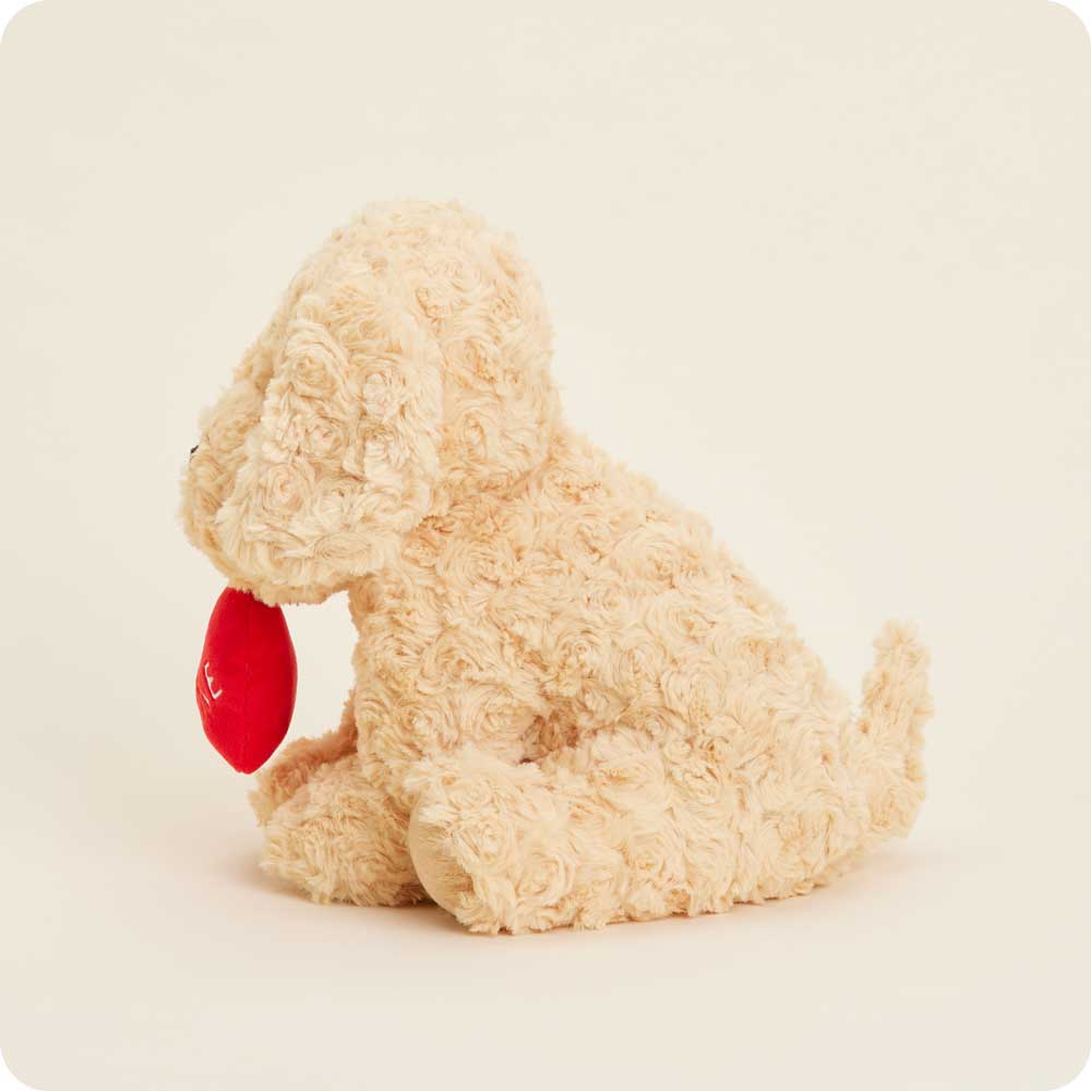 Be Mine Golden Dog Warmies - Warm Blend