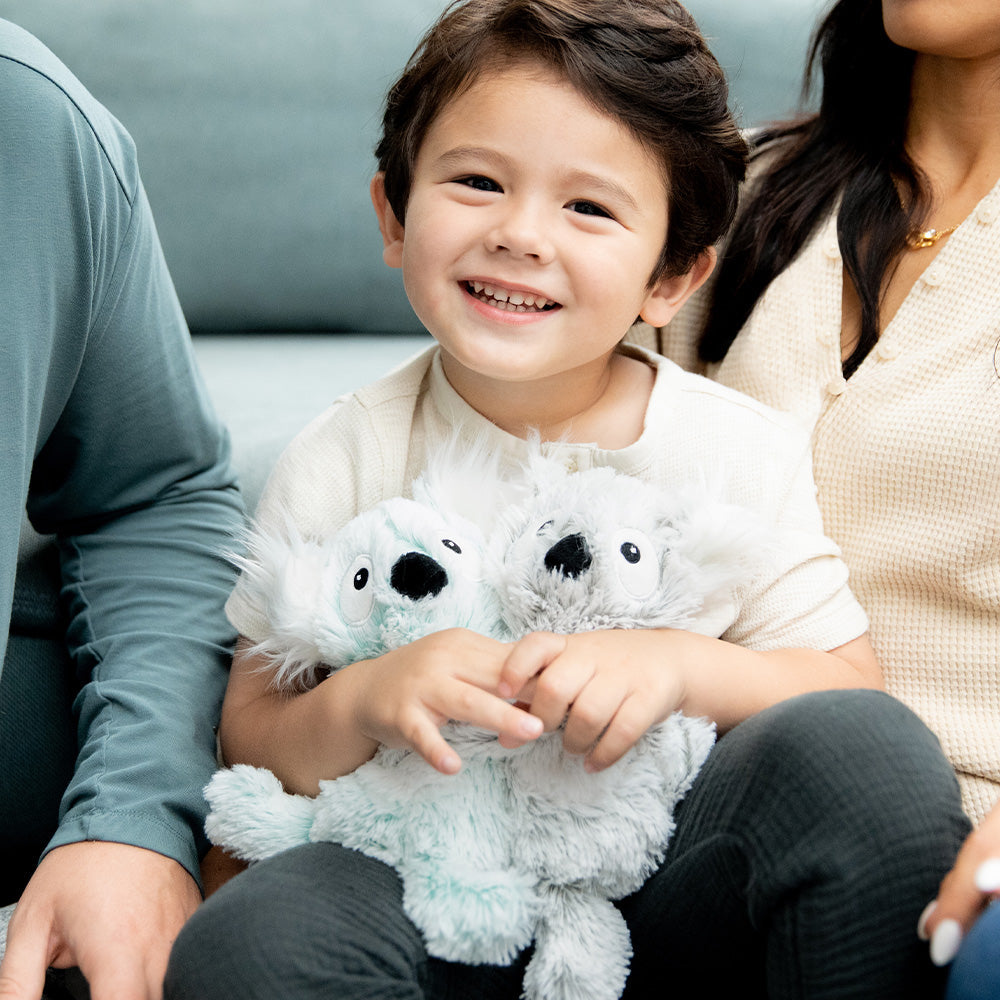 Koala Hugs - Easy Set