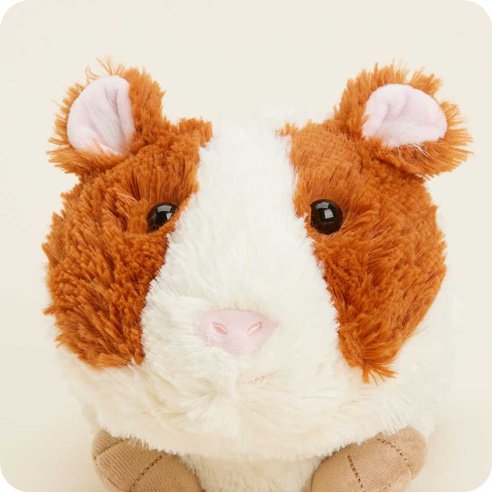 Guinea Pig Warmies - Modern Blend