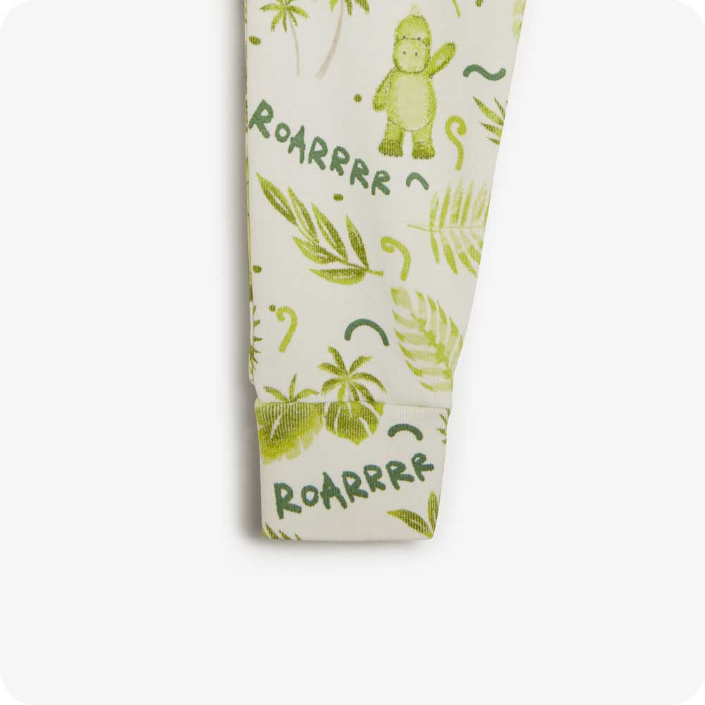 Dinosaur Long Pajamas - Clean Bundle