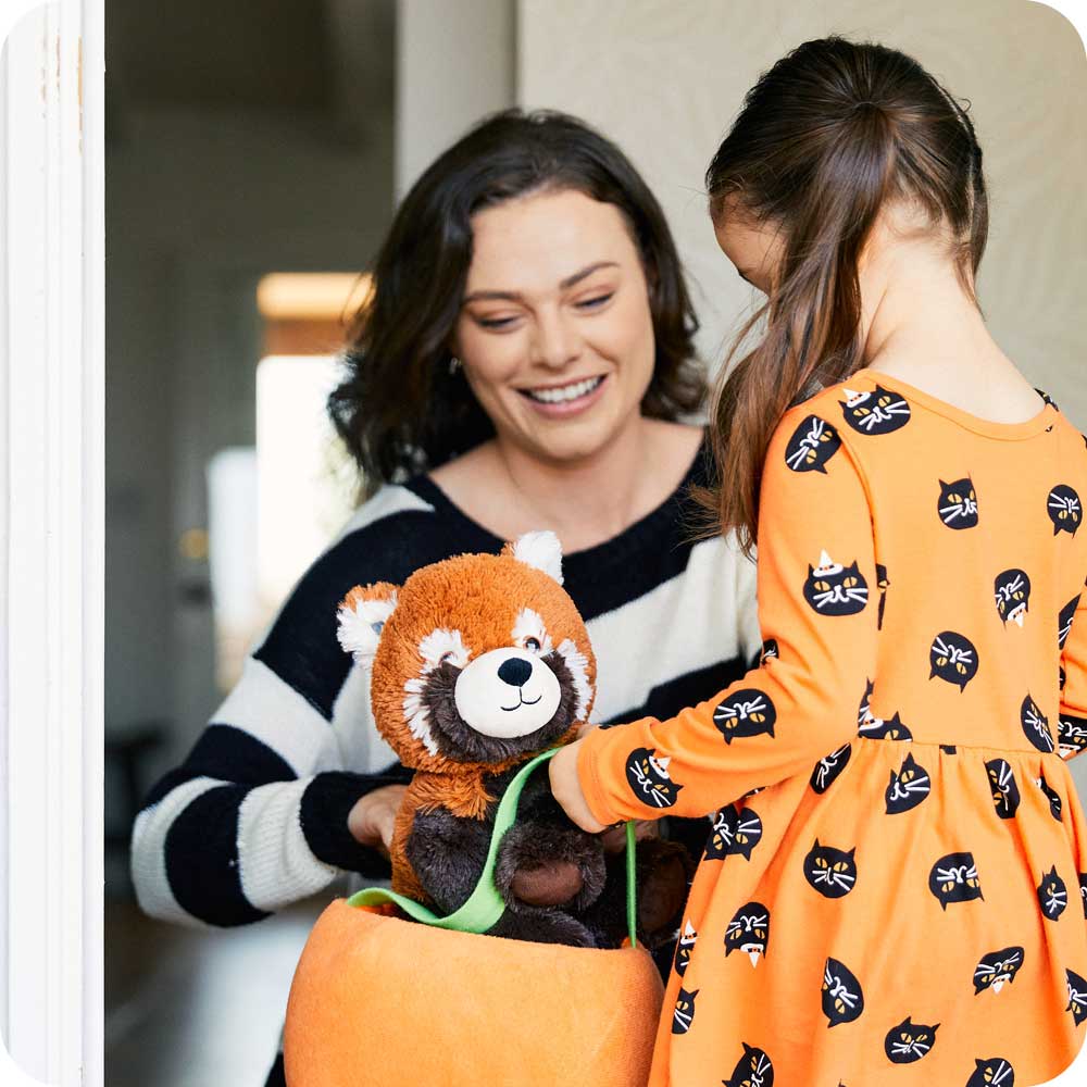 Red Panda Warmies - Fresh Notes