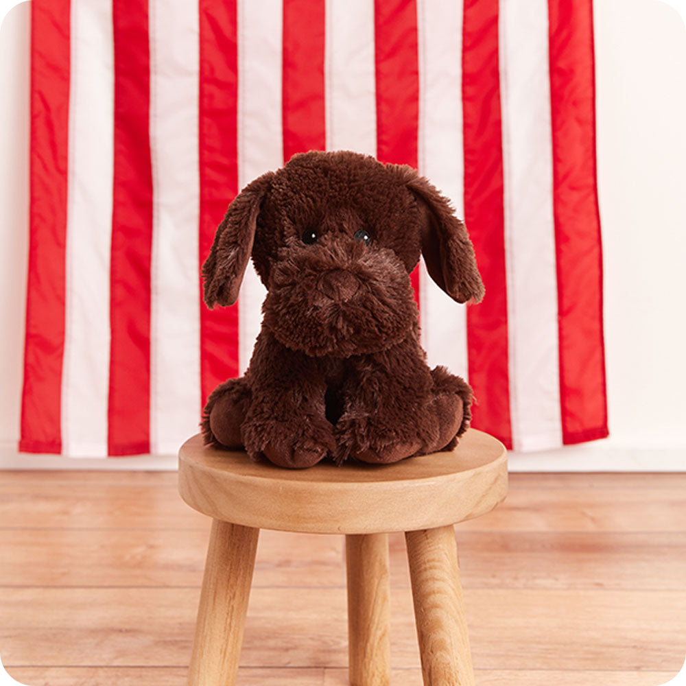 Chocolate Labrador Warmies - Modern Blend
