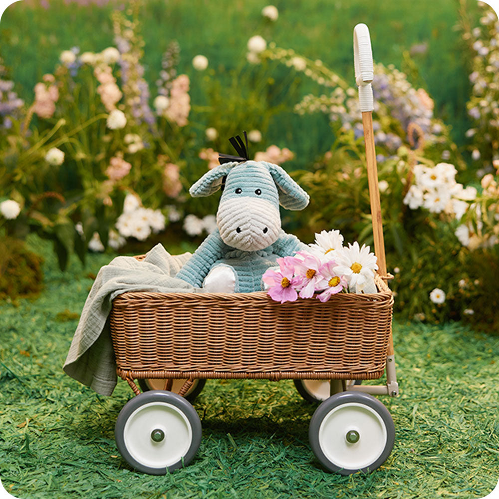 Donkey - My First Warmies - Easy Spritz