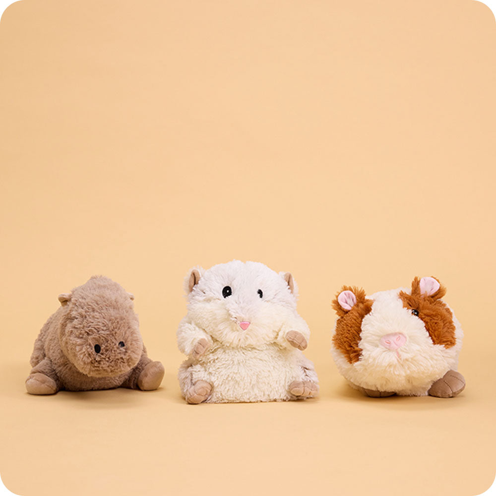 Guinea Pig Warmies - Modern Blend